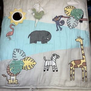 aden + anais Baby Bonding Playmat – Reversible 45” x 45” Cotton Muslin Mat